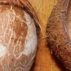 Легенда о кокосовом орехе