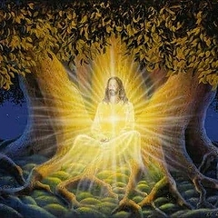 Денежная медитация «Волшебное дерево» — правила работы