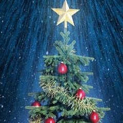 История новогодней елки