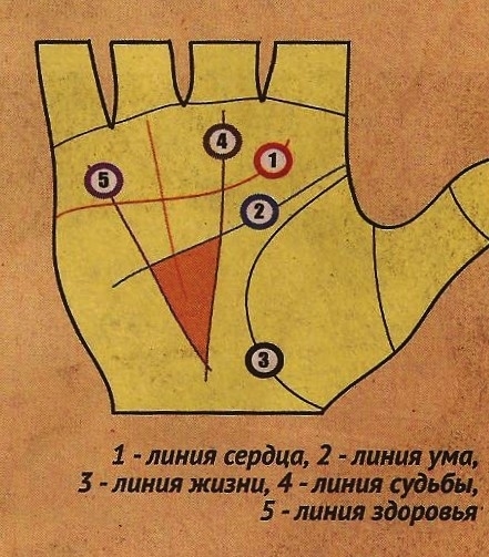 Треугольник на руке хиромантия