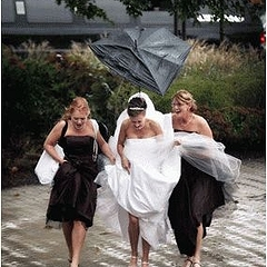 Дождь в день свадьбы — хорошая примета!