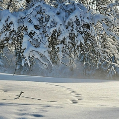 Народные приметы зимы — угадываем погоду без синоптиков
