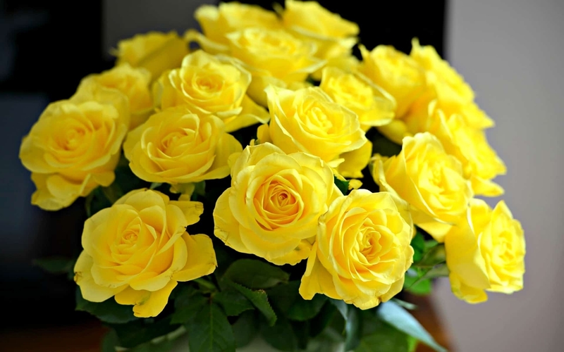 Можно ли дарить жёлтые розы?