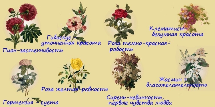 Язык цветов