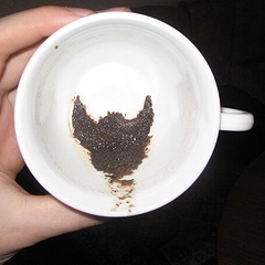 Что означает птица в гадании на кофейной гуще: подробная расшифровка символа