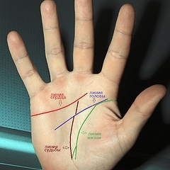 Линии на руке — второстепенные линии и знаки