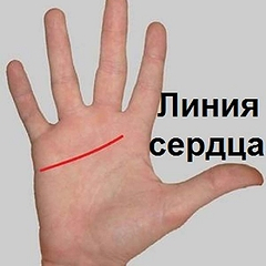 Значение линии сердца на руке и особенности расшифровки