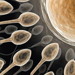 Приворот на сперму — 4 варианта
