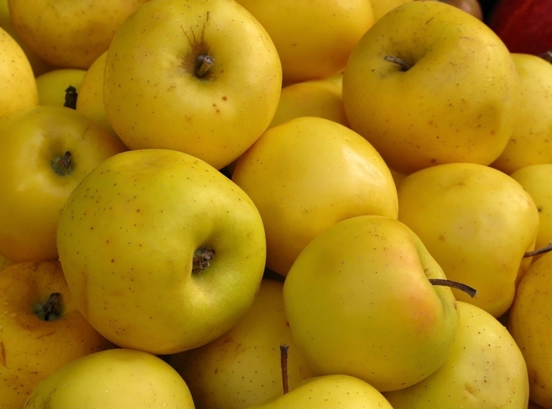Желтое яблоко