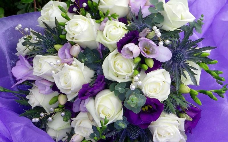 Белый и фиолетовые розы