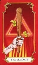 Туз жезлов